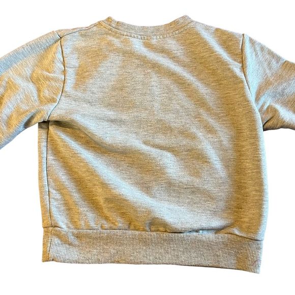 Little Girl’s Long Sleeved Shirt Size 3T 100 Gray Thin Sweatshirt Look Kid Life - Picture 6 of 6